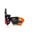 Dogtra IQ+ DUO (2 Perros)